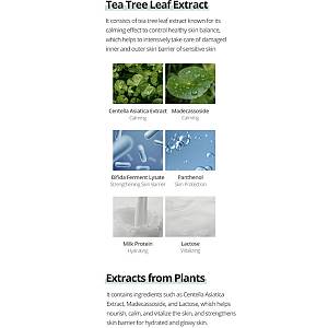 Farmstay Κρέμα Θρέψης και Ενυδάτωσης Tea Tree Biome Calming Cream (80ml)