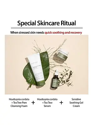 Mary & May Houttynia Cordata & Tea Tree Cleansing Foam – Καθαριστικός αφρός για βαθύ καθαρισμό των πόρων