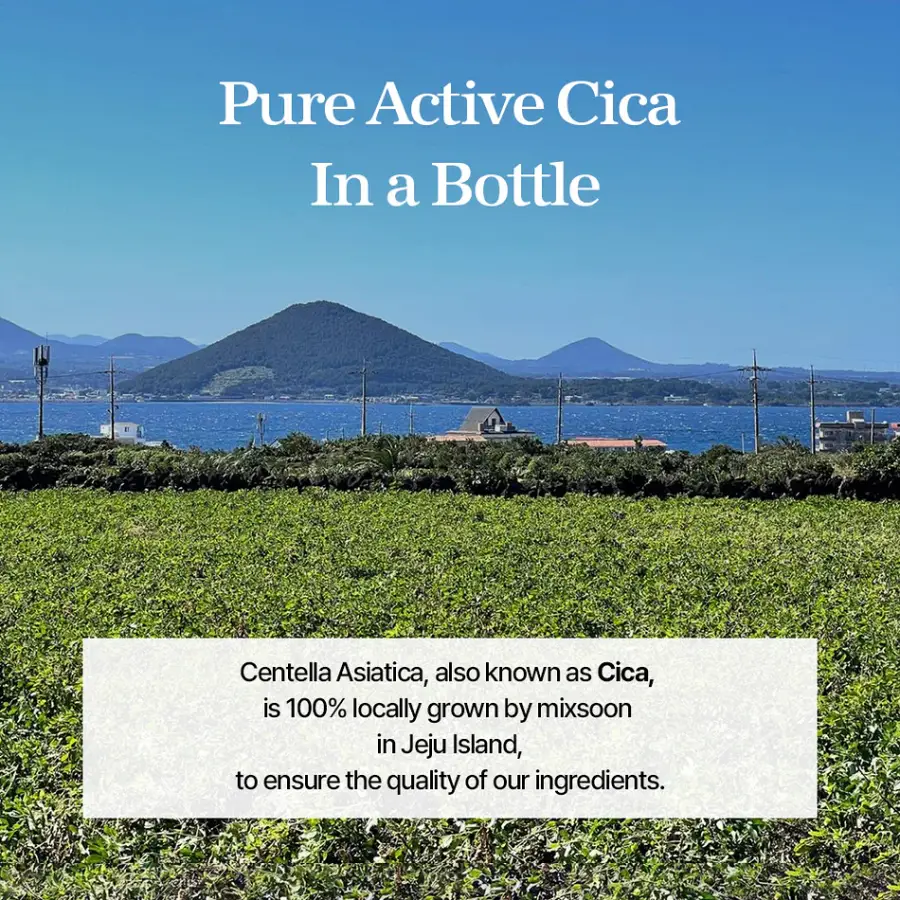 Mixsoon Soondy Centella Asiatica Essence - Ορός Προσώπου 50ml